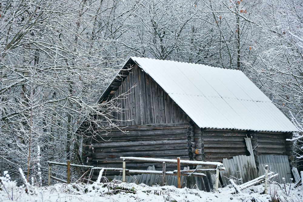 Photograph by Альбина Михайлова