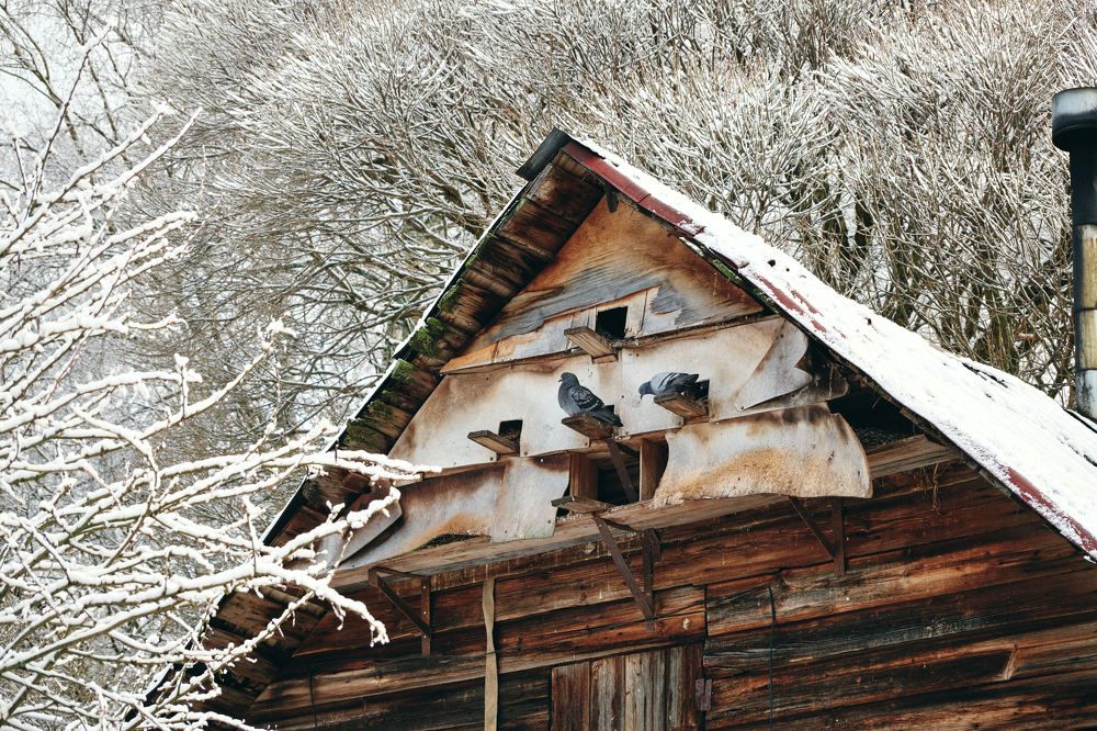 Photograph by Альбина Михайлова