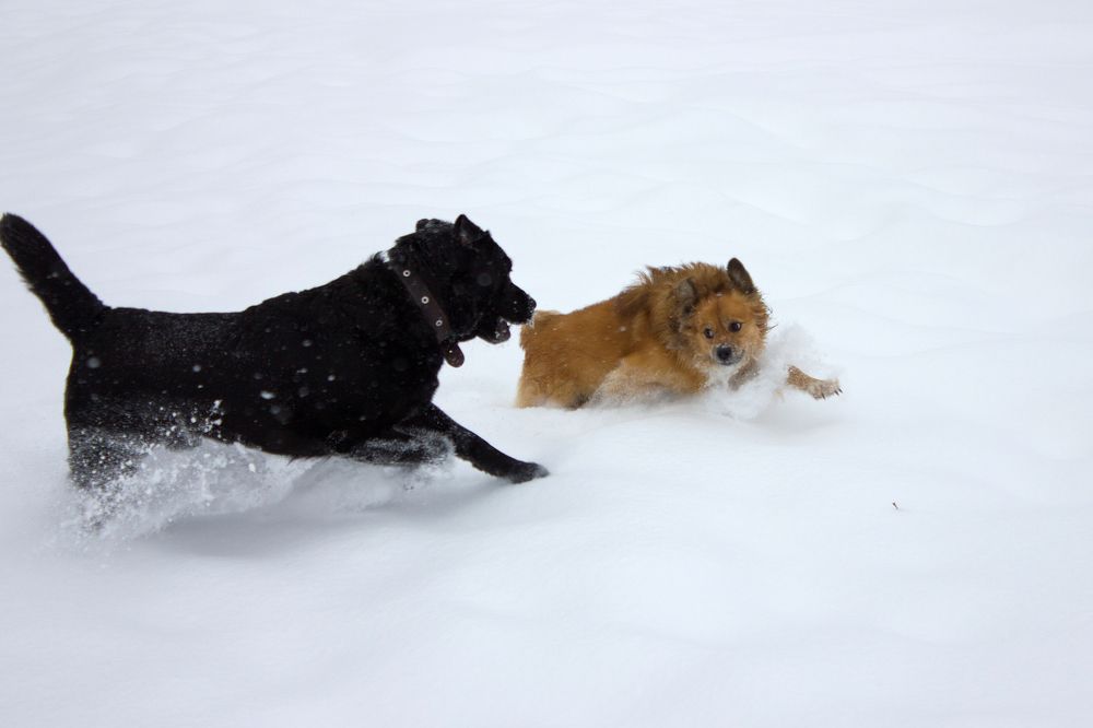 Photograph by Анастасия Глазюк