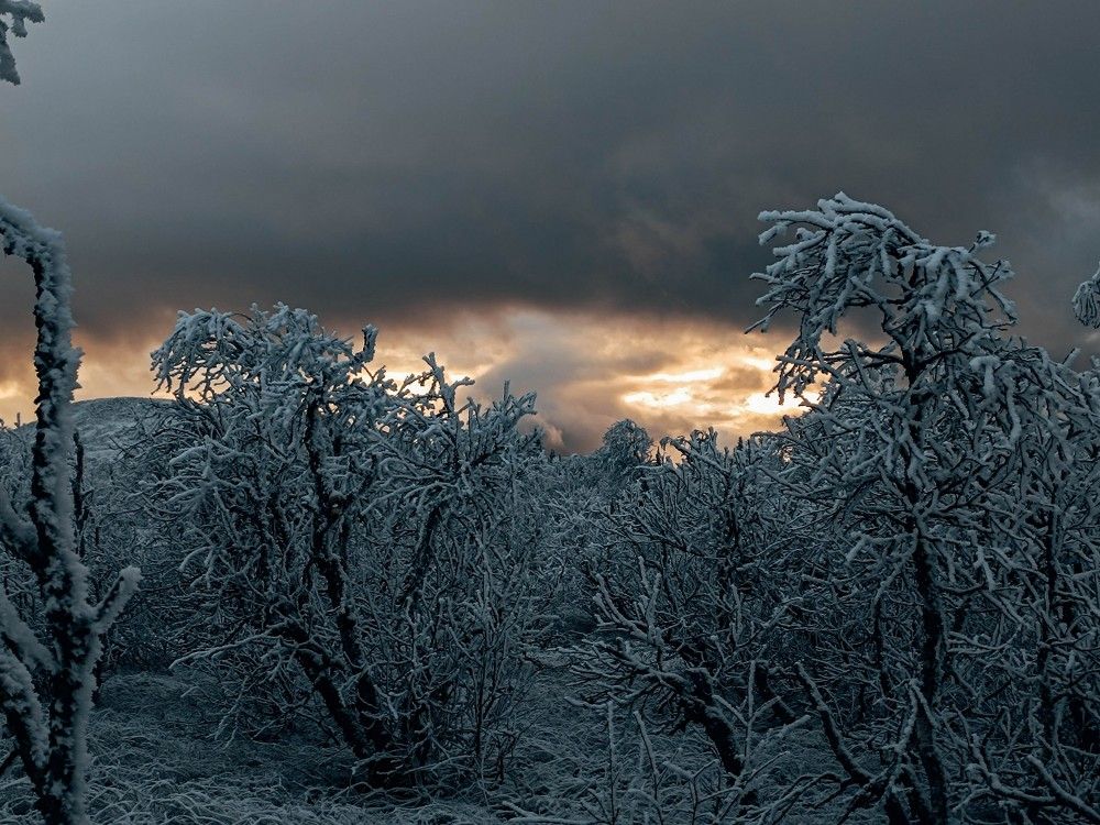 Photograph by Aleksandr Fefelov