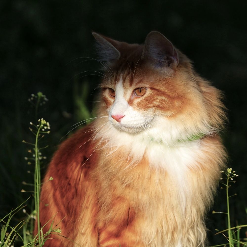 Photograph by Артемий