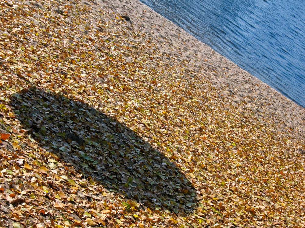 Геометрия осеннего пляжа