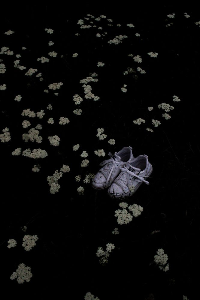 Photograph by Roghayeh Dannandeh