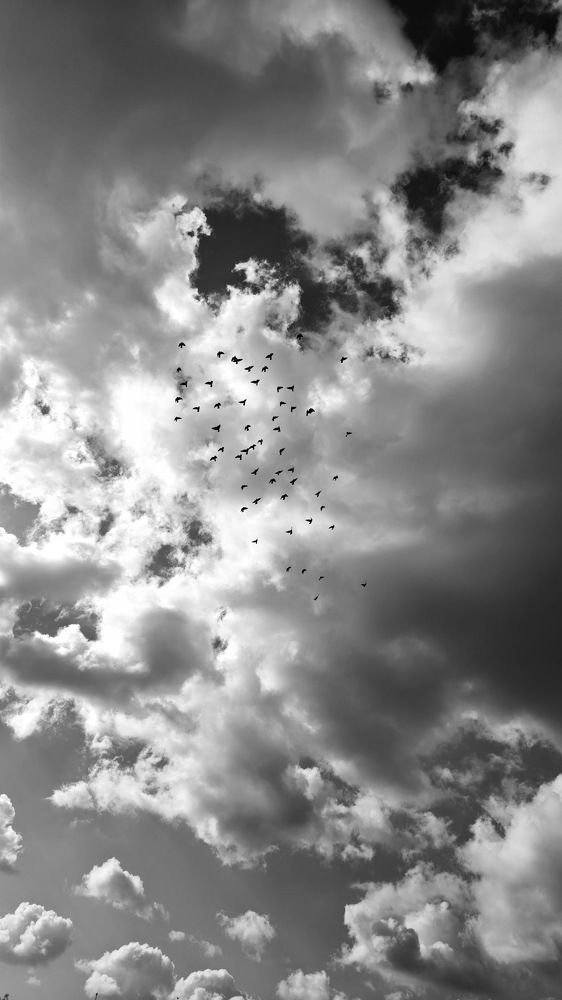 Photograph by Виталий Черепенькин