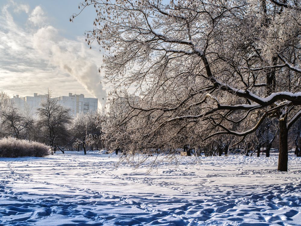 Photograph by Aleksandr Belov