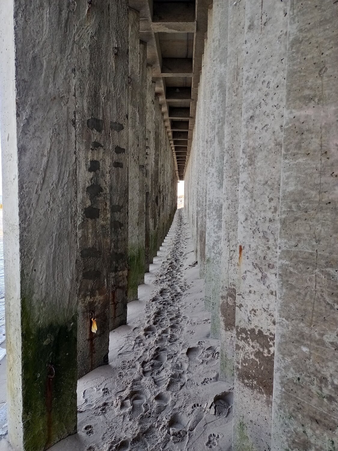 Photo #11655301