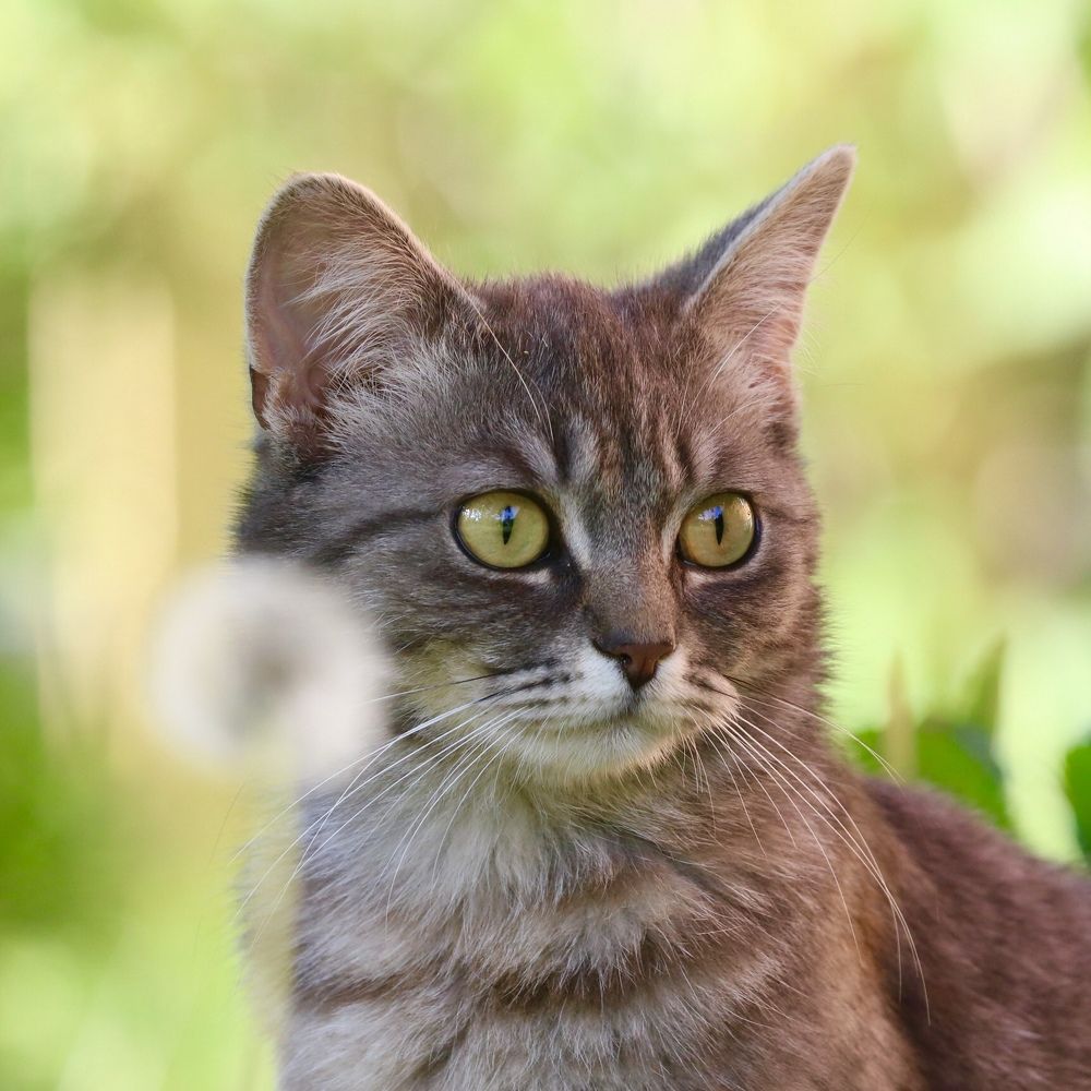 Photograph by Артемий