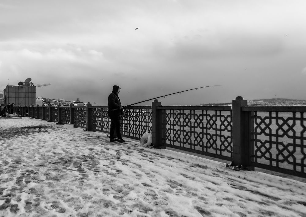 Фотография автора necdet polat