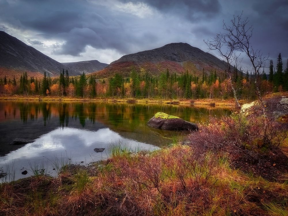 Photograph by Марина Мурашова