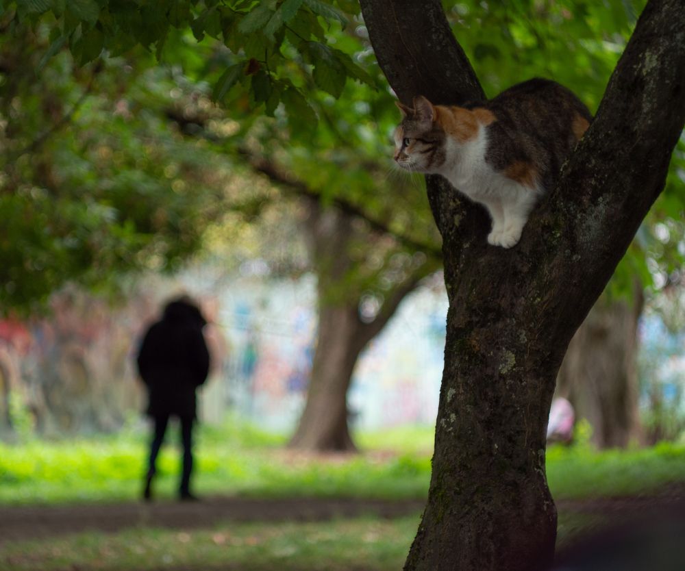 Photograph by Oleg Fomin