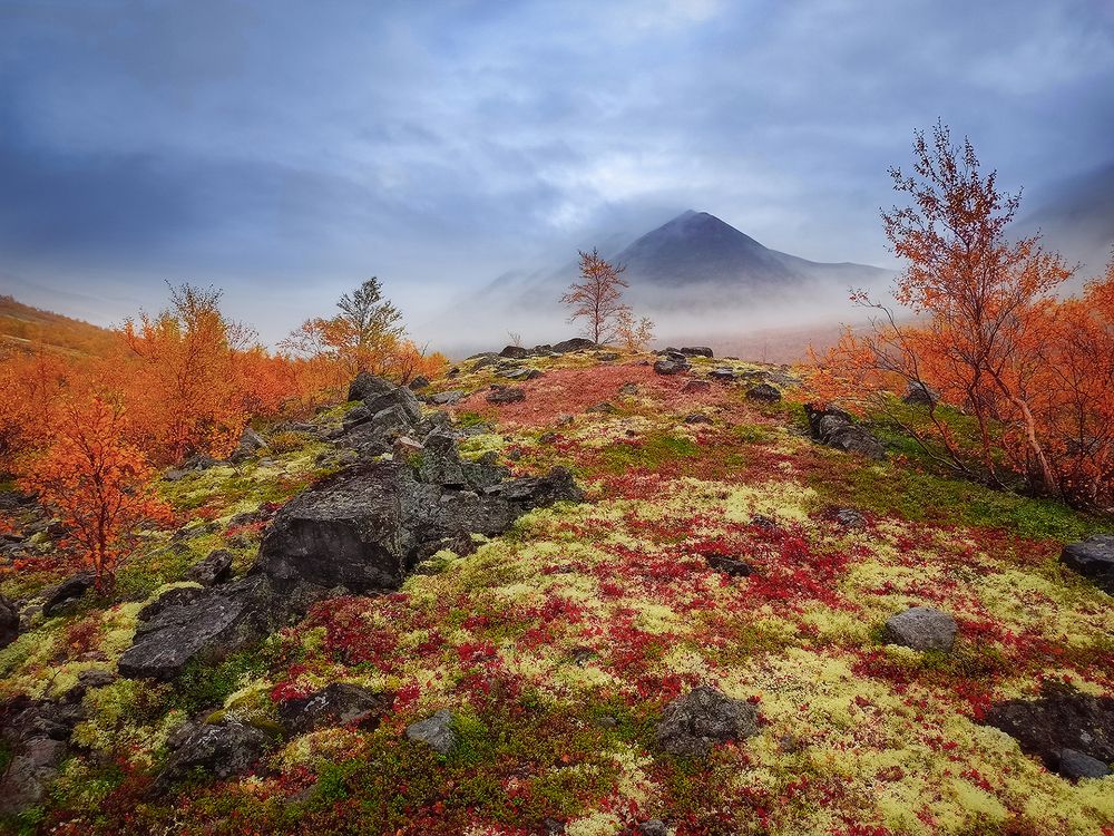 Photograph by Марина Мурашова