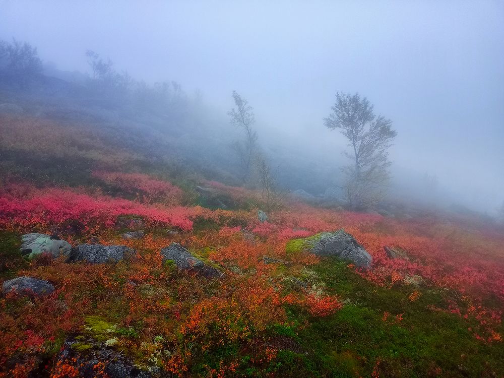 Photograph by Марина Мурашова