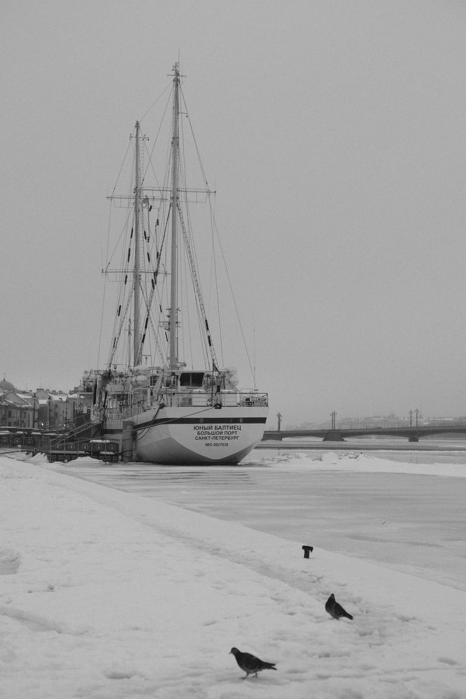 Photograph by Anastasia Vladimirovna