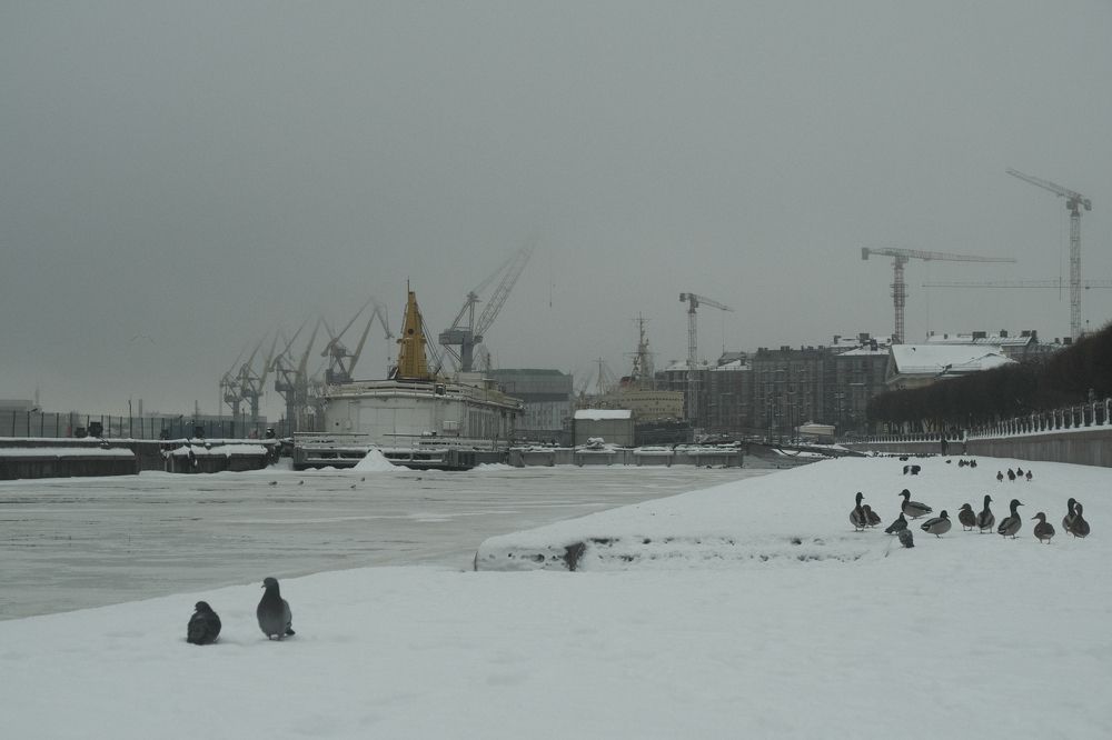 Photograph by Anastasia Vladimirovna