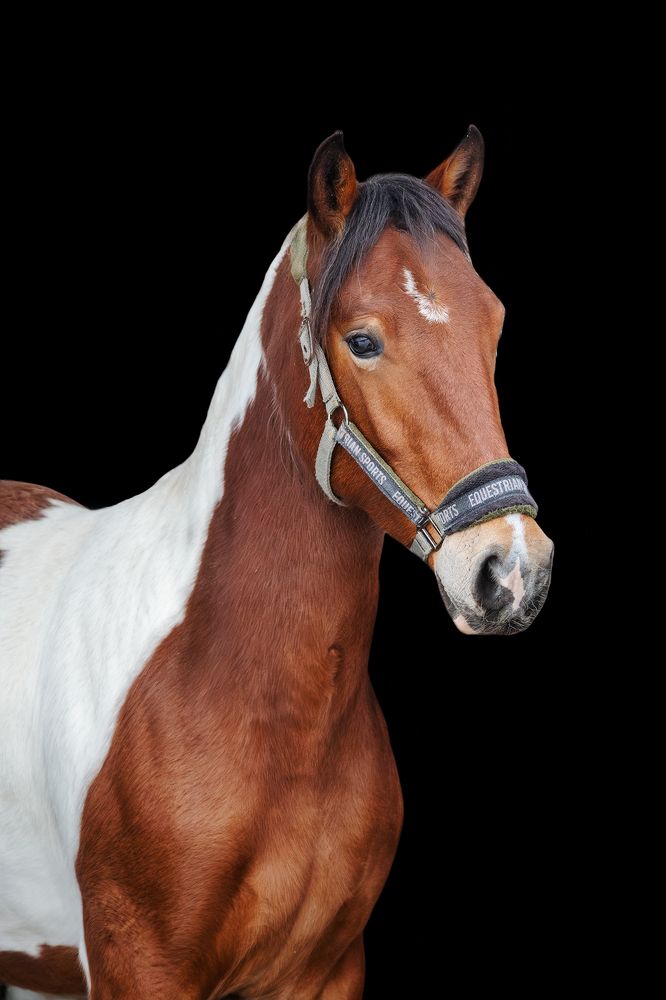 Photograph by Полина Фрольцова