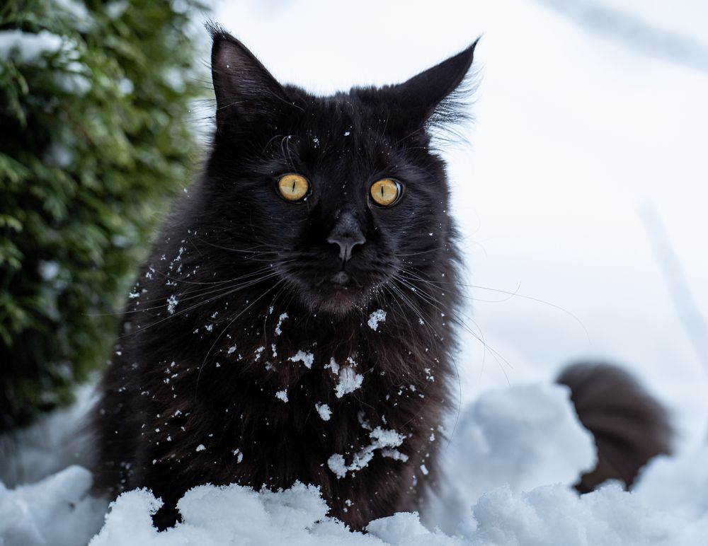 Photograph by Елена Куртеева