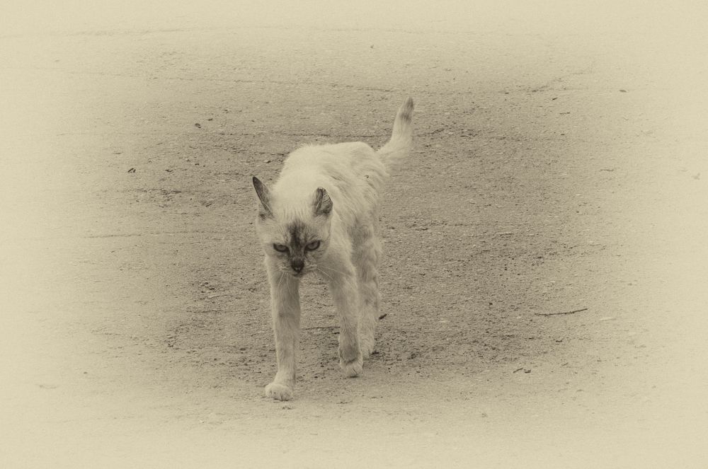 Photograph by Валерий Цуркан