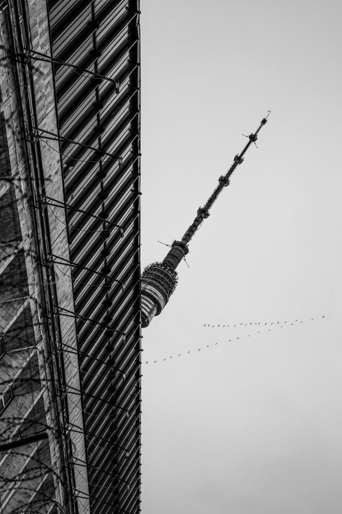 Photograph by Светлана Карнаух