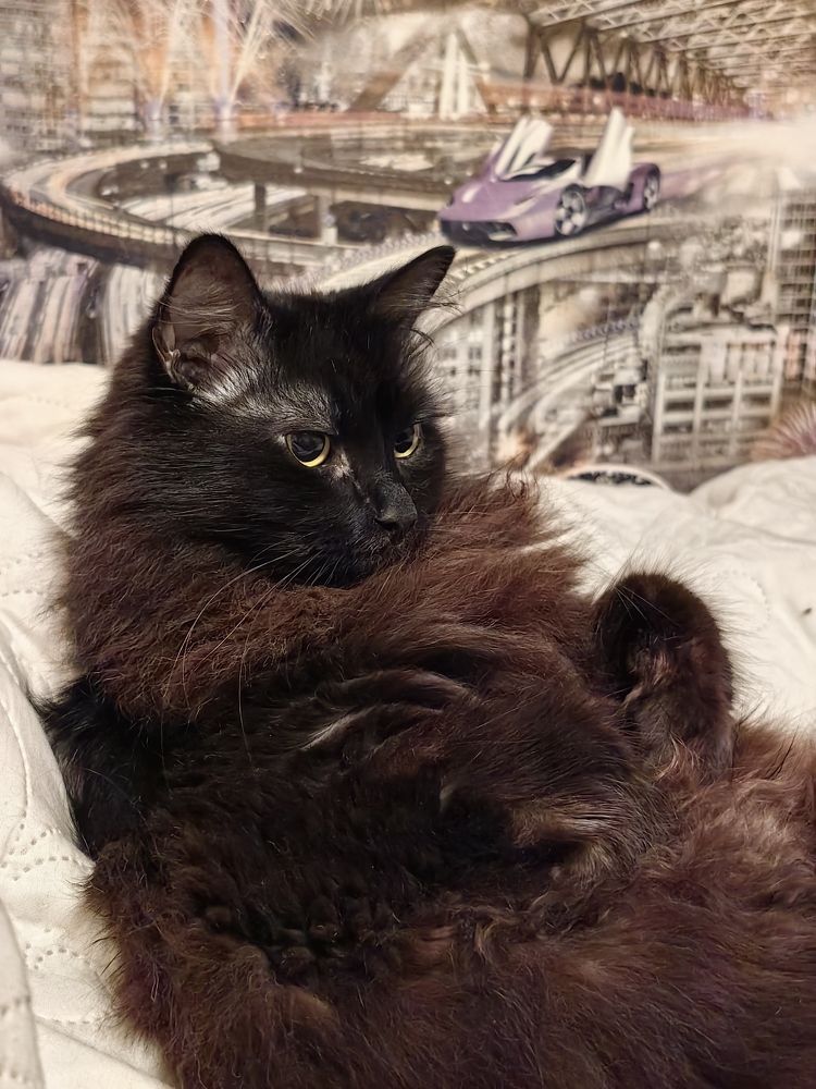 Photograph by Елена Акимова