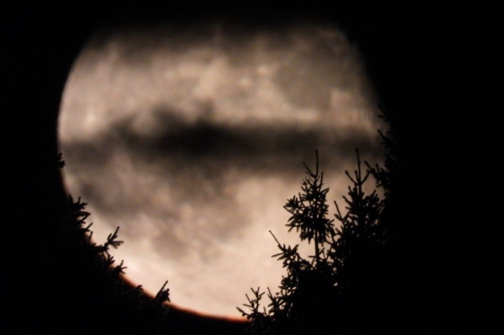 Photograph by DMITRIY DULIN