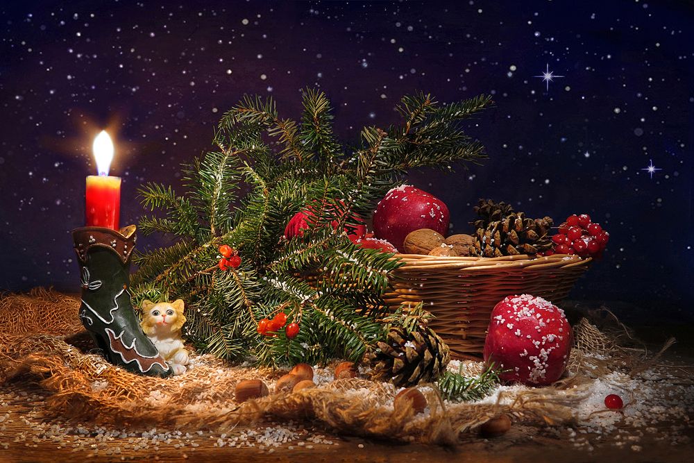 Photograph by Алла Шевченко