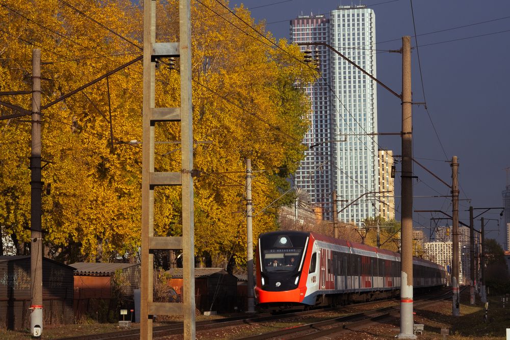 Photo #11655678