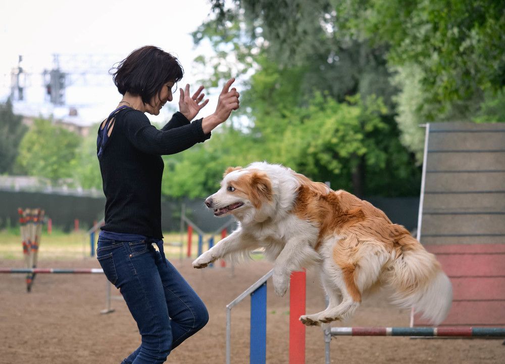 Photograph by Olga Mendosa