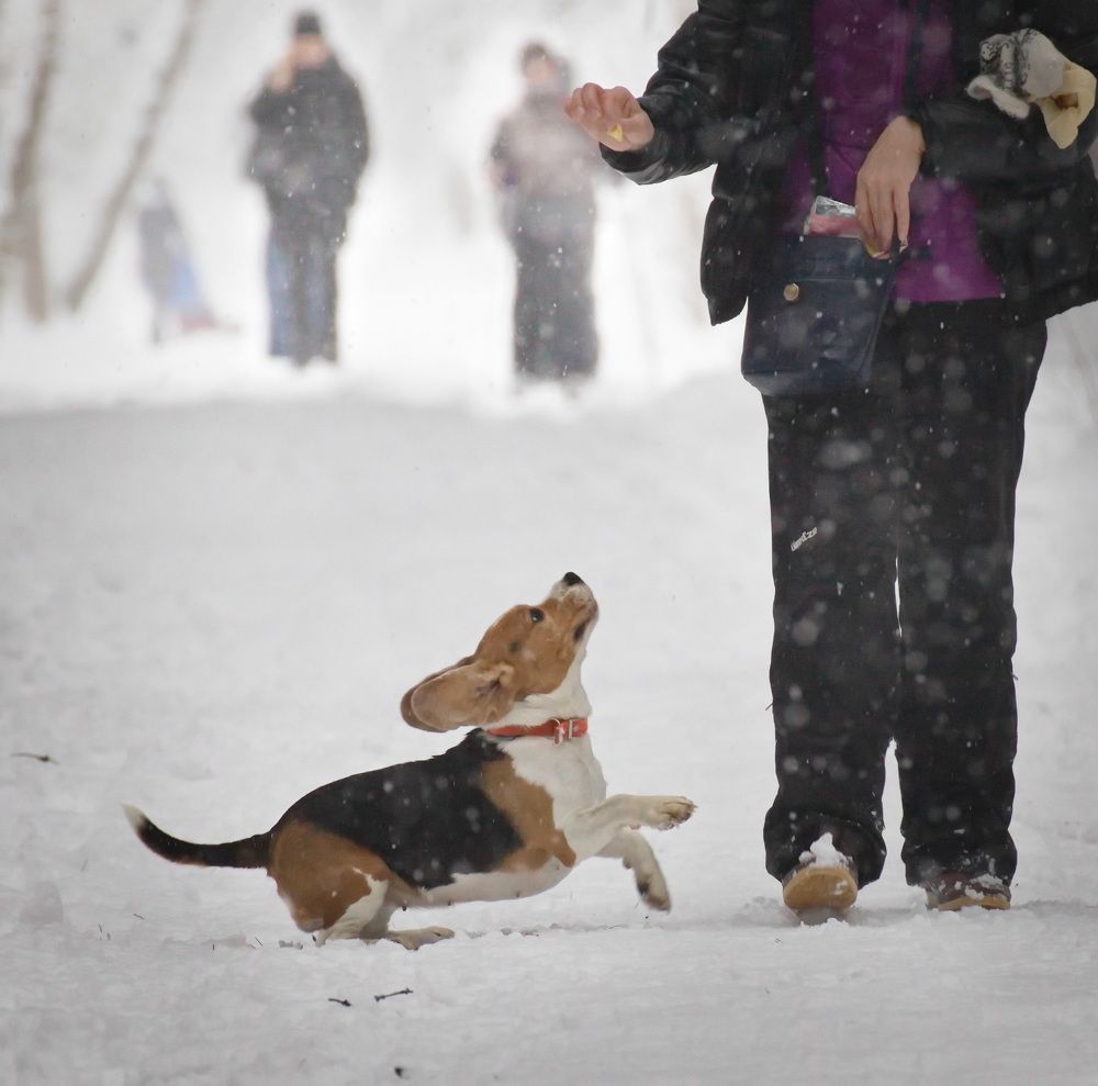 Фотография автора Юрий Кольцов