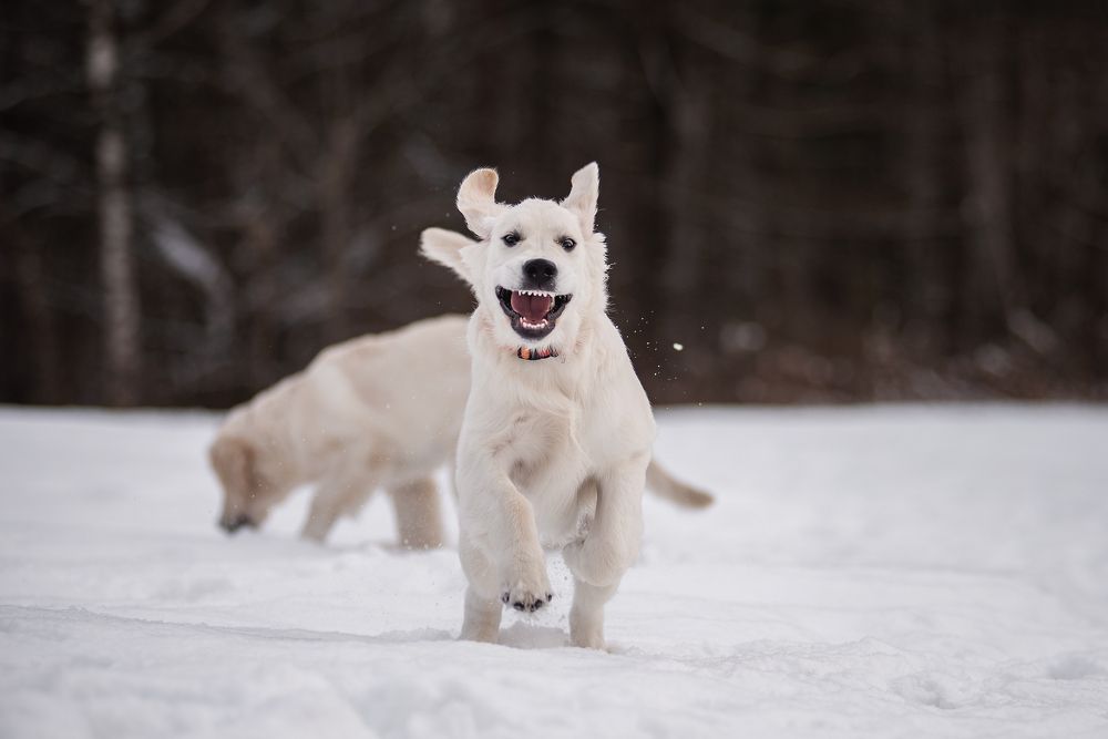 Photograph by Курашкина Анна