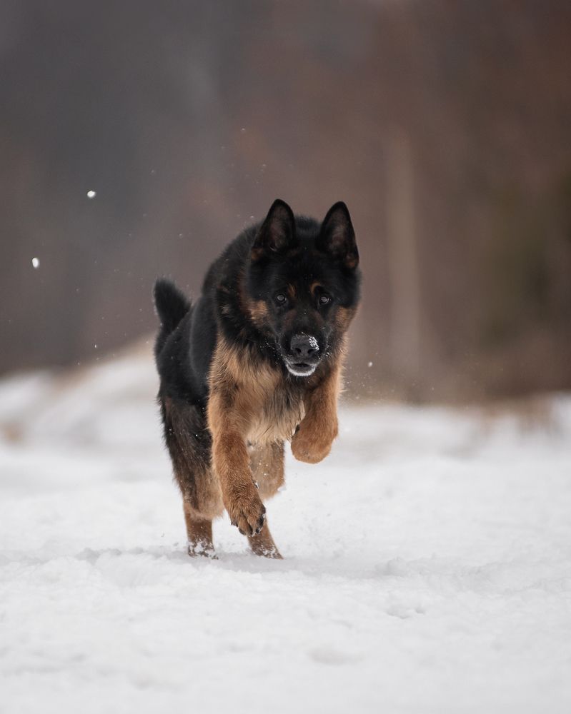 Photograph by Курашкина Анна