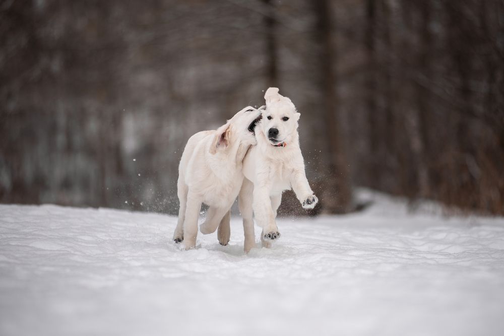 Photograph by Курашкина Анна