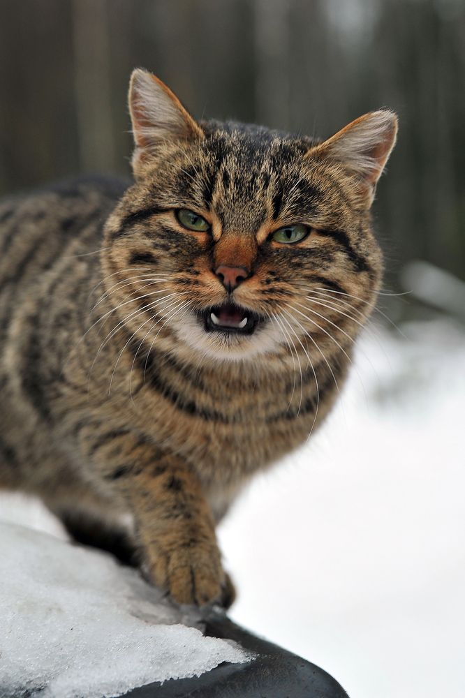 Photograph by Cергей Абакумов