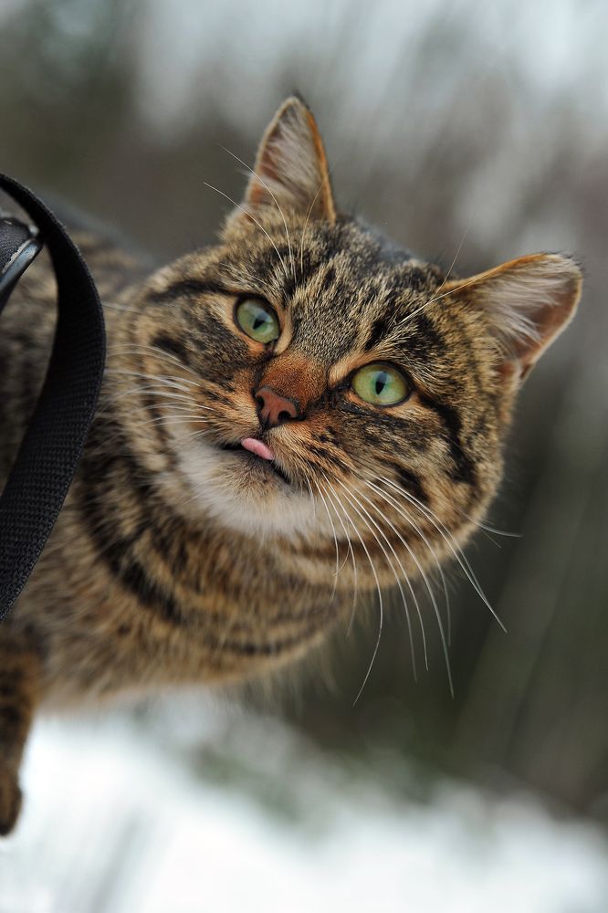 Photograph by Cергей Абакумов