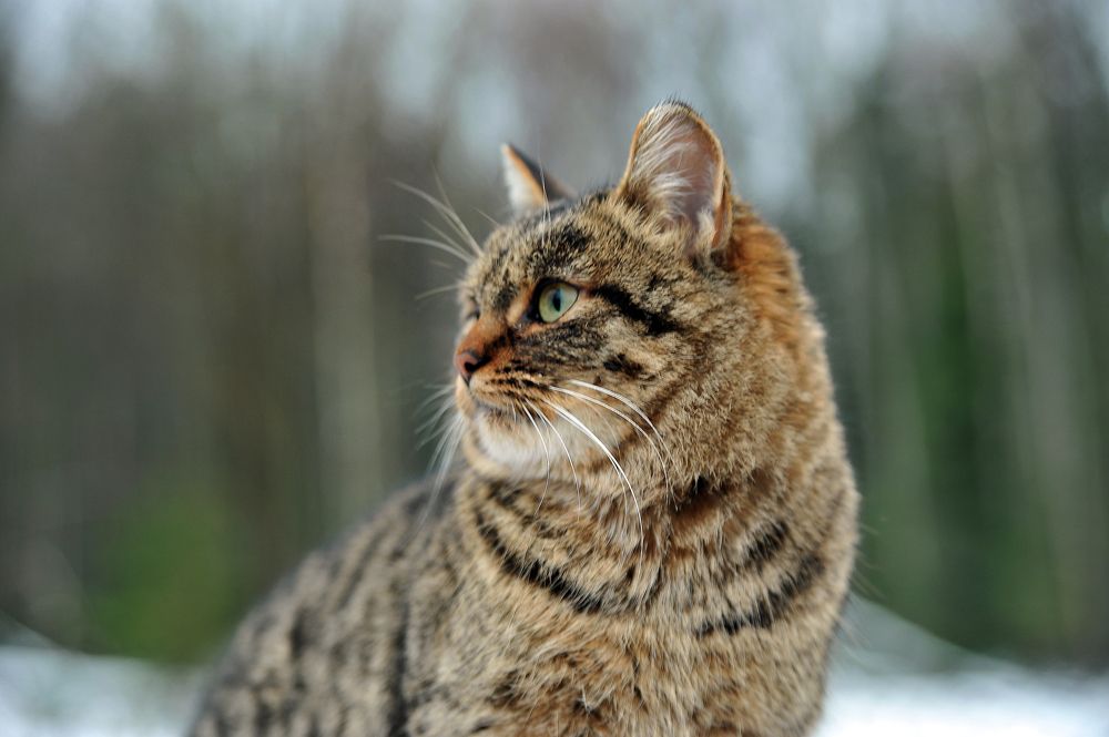 Photograph by Cергей Абакумов