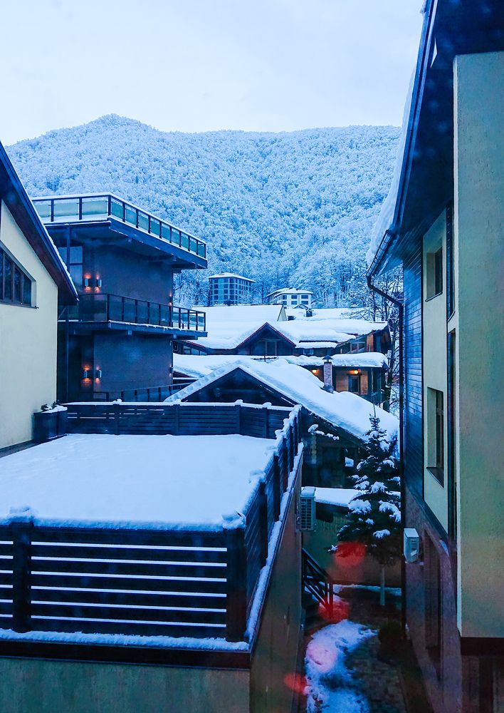 Фотография автора Elena Ku