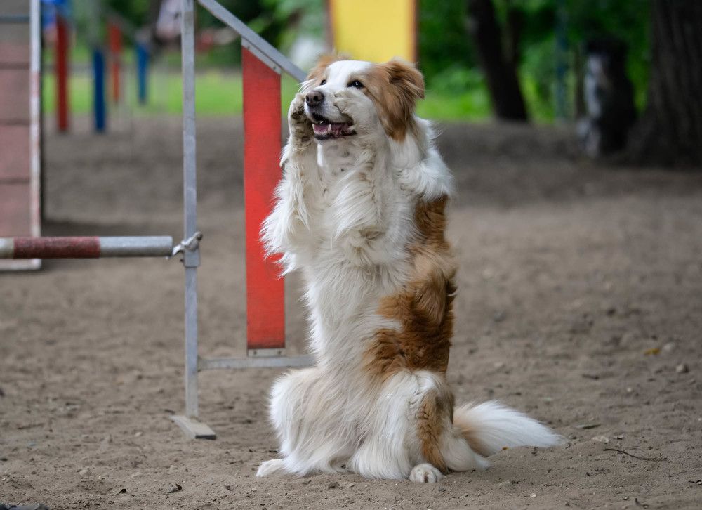 Photograph by Olga Mendosa