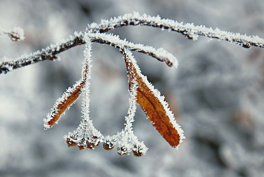 Photograph by Irina Radzinskaya