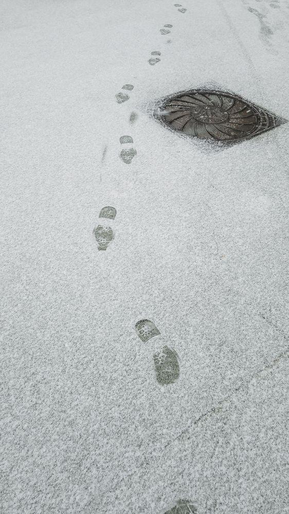 Photograph by Дарья