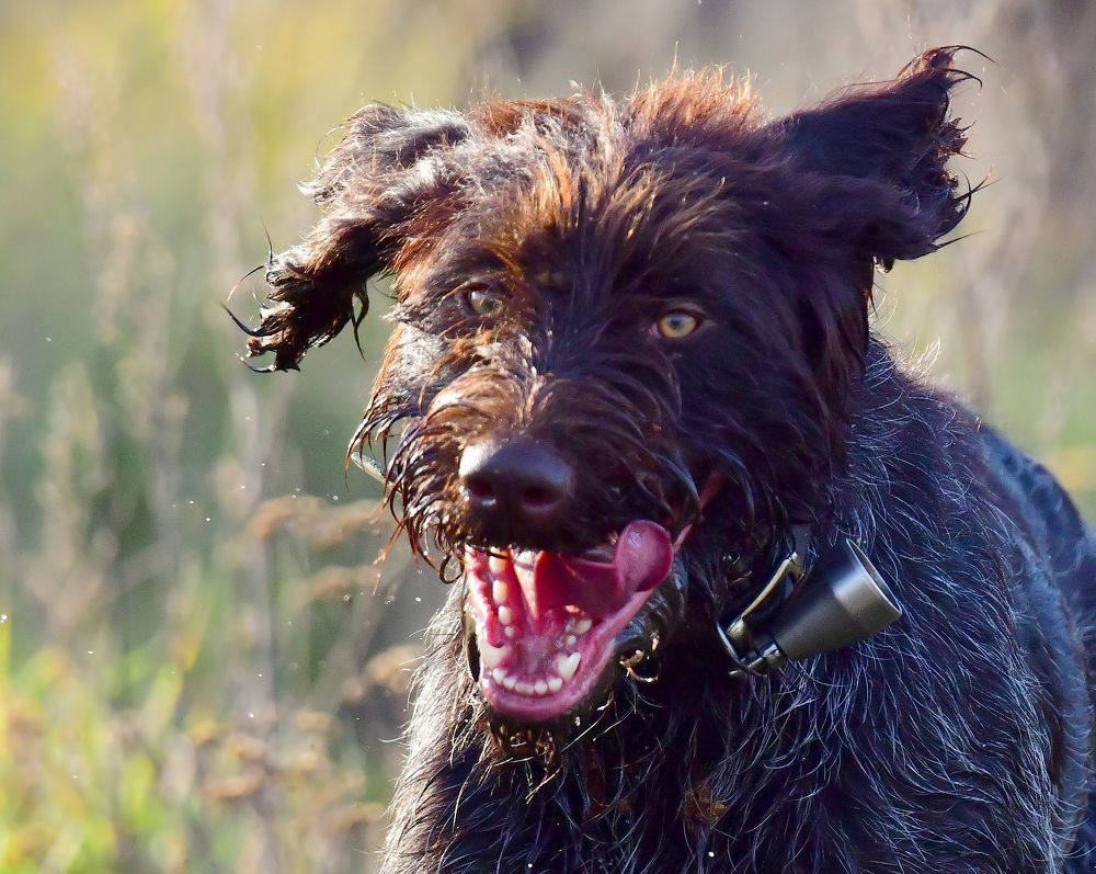 Photograph by Николай Абакумов