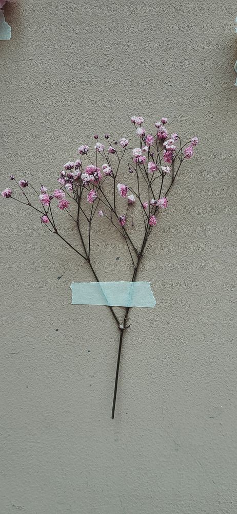 Photograph by Дарья