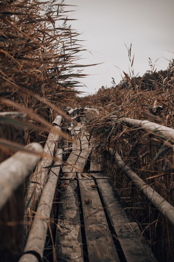 Photograph by Nina Farzalijeva