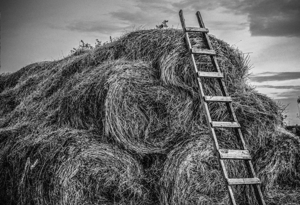 Photograph by Олег Алексеев