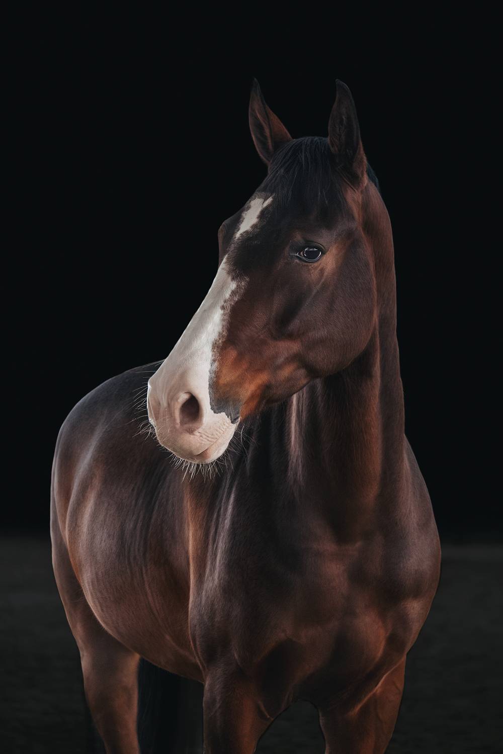 Фотография #11655818