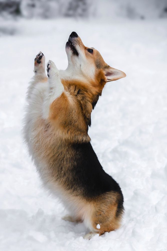 Фотография автора Андрей Редьков