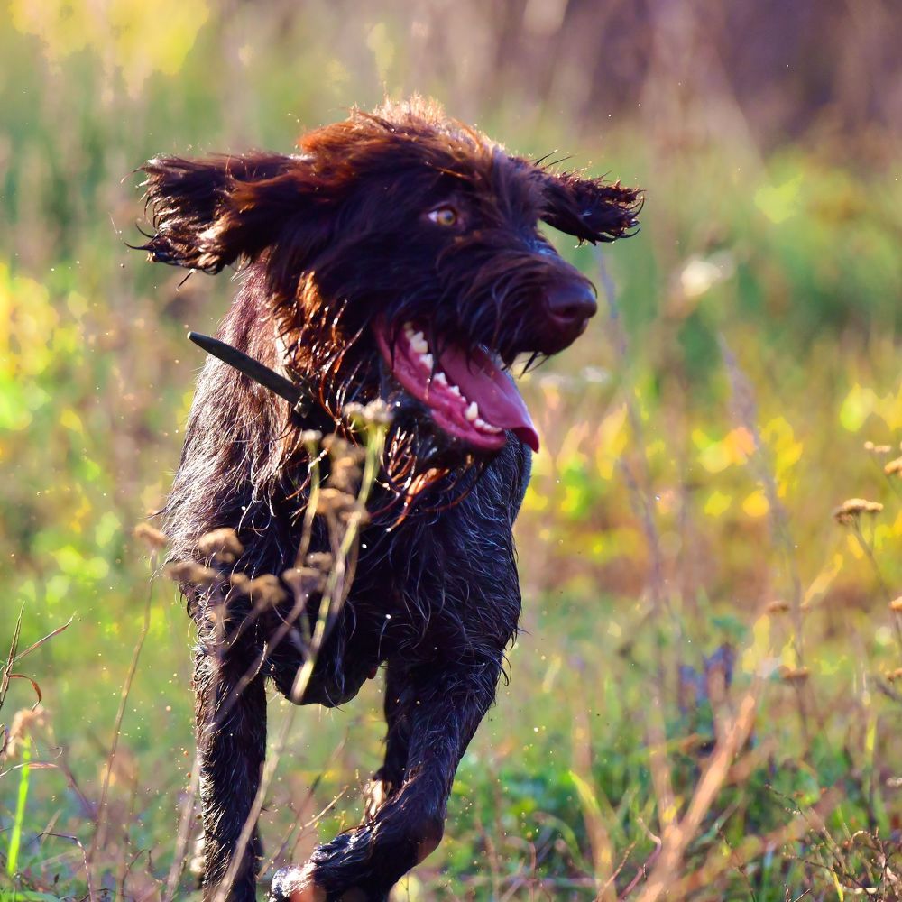 Photograph by Николай Абакумов