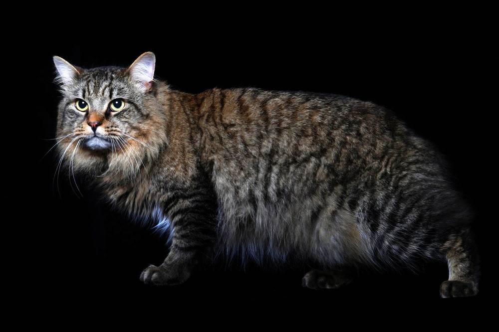 Photograph by Елена Лапочкина