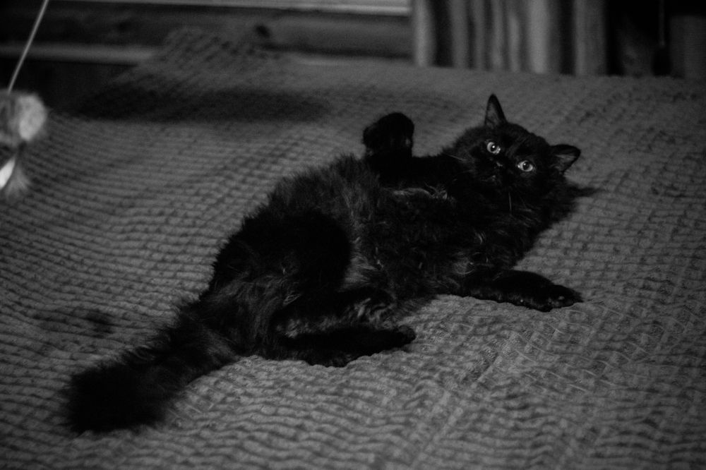 Фотография автора Anyutkin