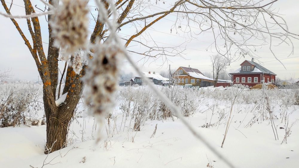 Photograph by Марина Артемьева