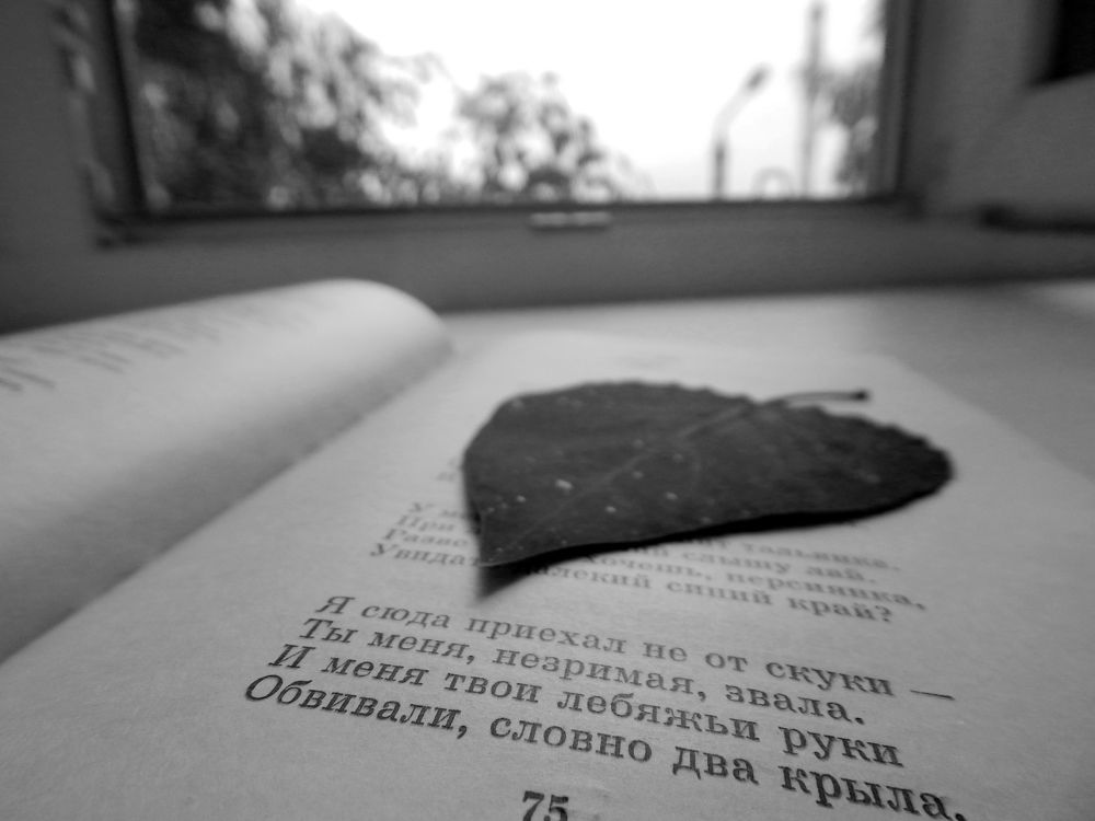Фотография автора Валерий Цуркан