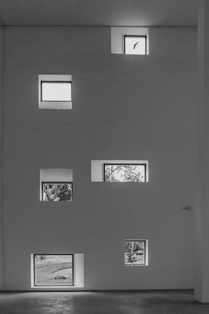 Photograph by Светлана Карнаух